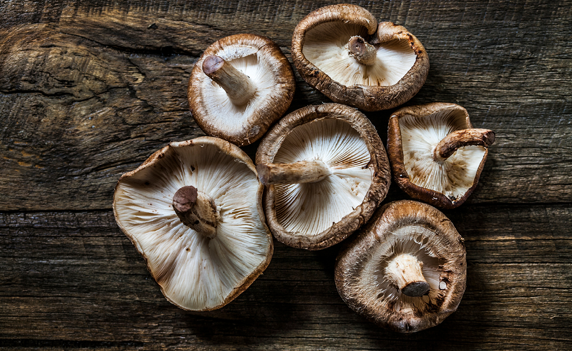 BITZER preserves the taste in mushrooms